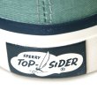 画像6: SPERRY TOPSIDER|スペリートップサイダー　キャンバスオックスフォード（CVO）　グラナイトグリーン (6)